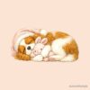 flat750x075f pad750x750f8f8f8 2 - Cavalier King Charles Spaniel Gifts UK