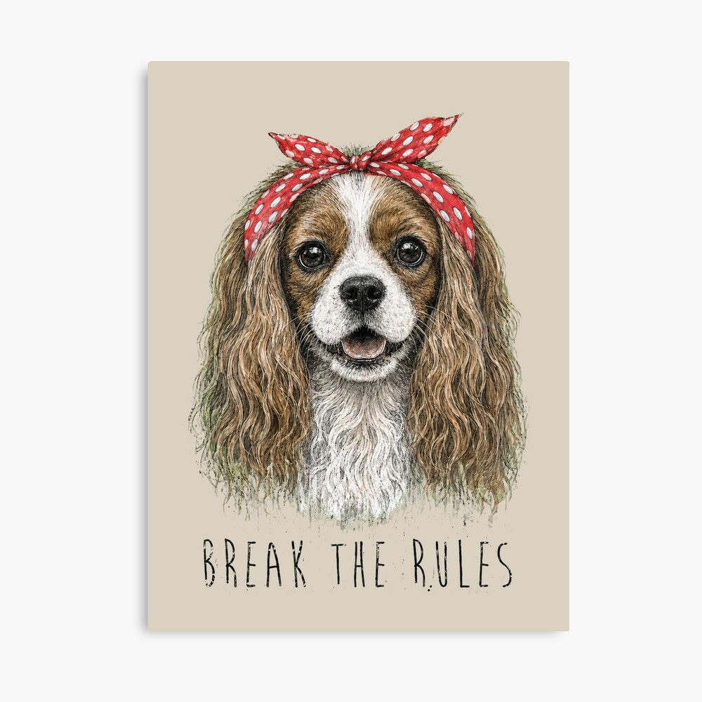 mp840x830mattef8f8f8t-pad1000x1000f8f8f8-3 mp840x830mattef8f8f8t pad1000x1000f8f8f8 3 - Cavalier King Charles Spaniel Gifts UK